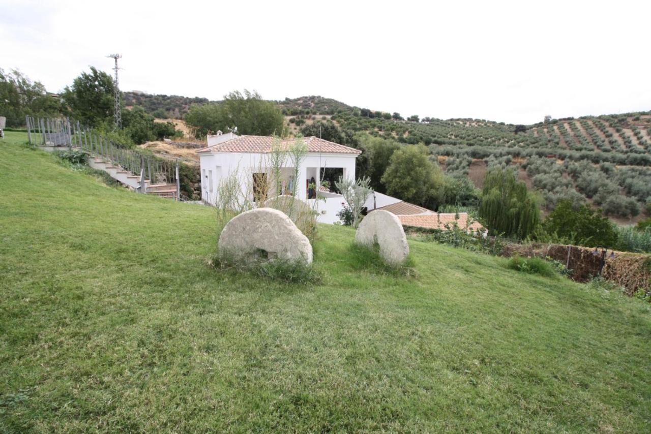 Alcalá del ValleEl Molino别墅 外观 照片